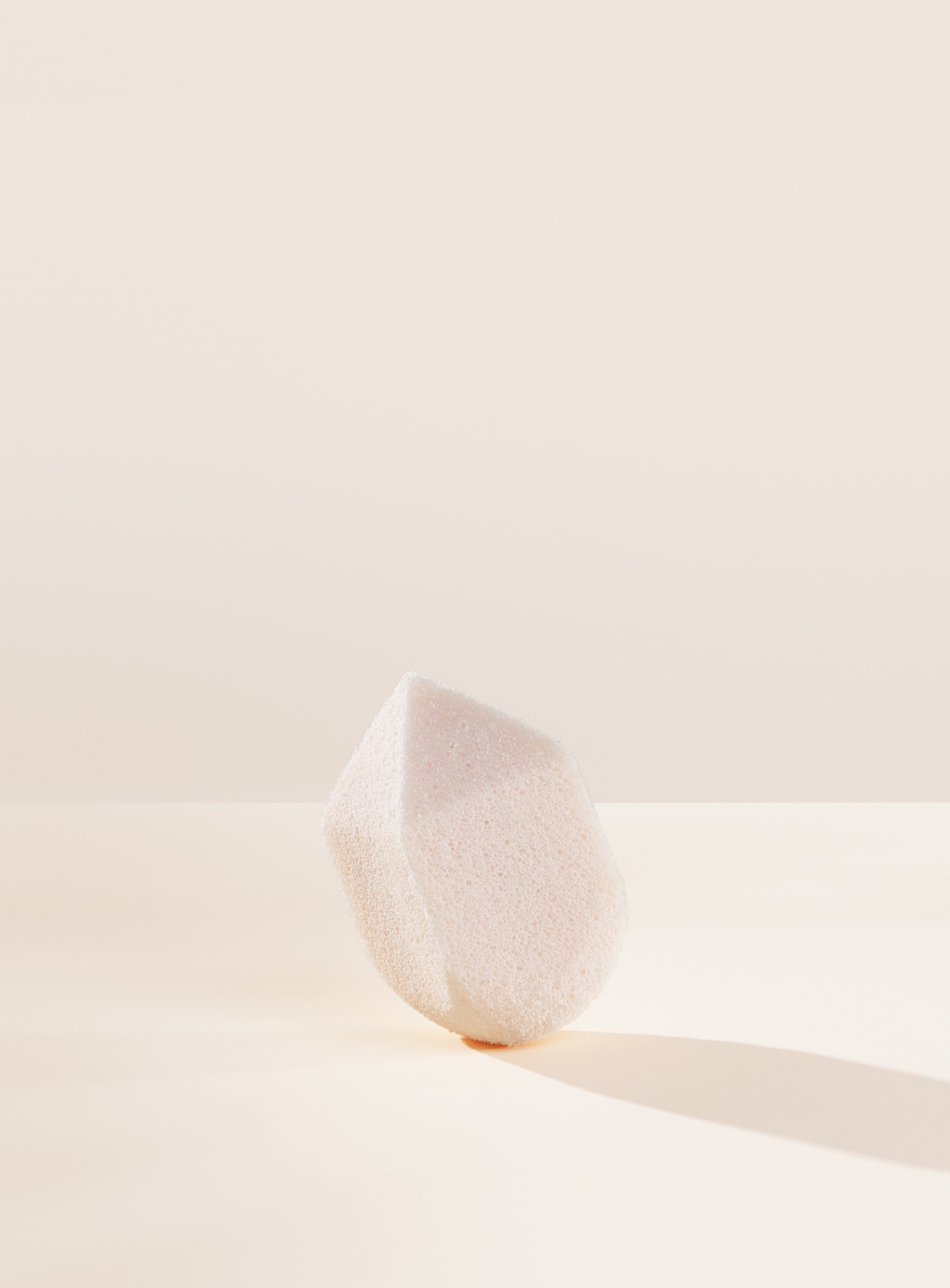 SPONGE-SKU-2-1