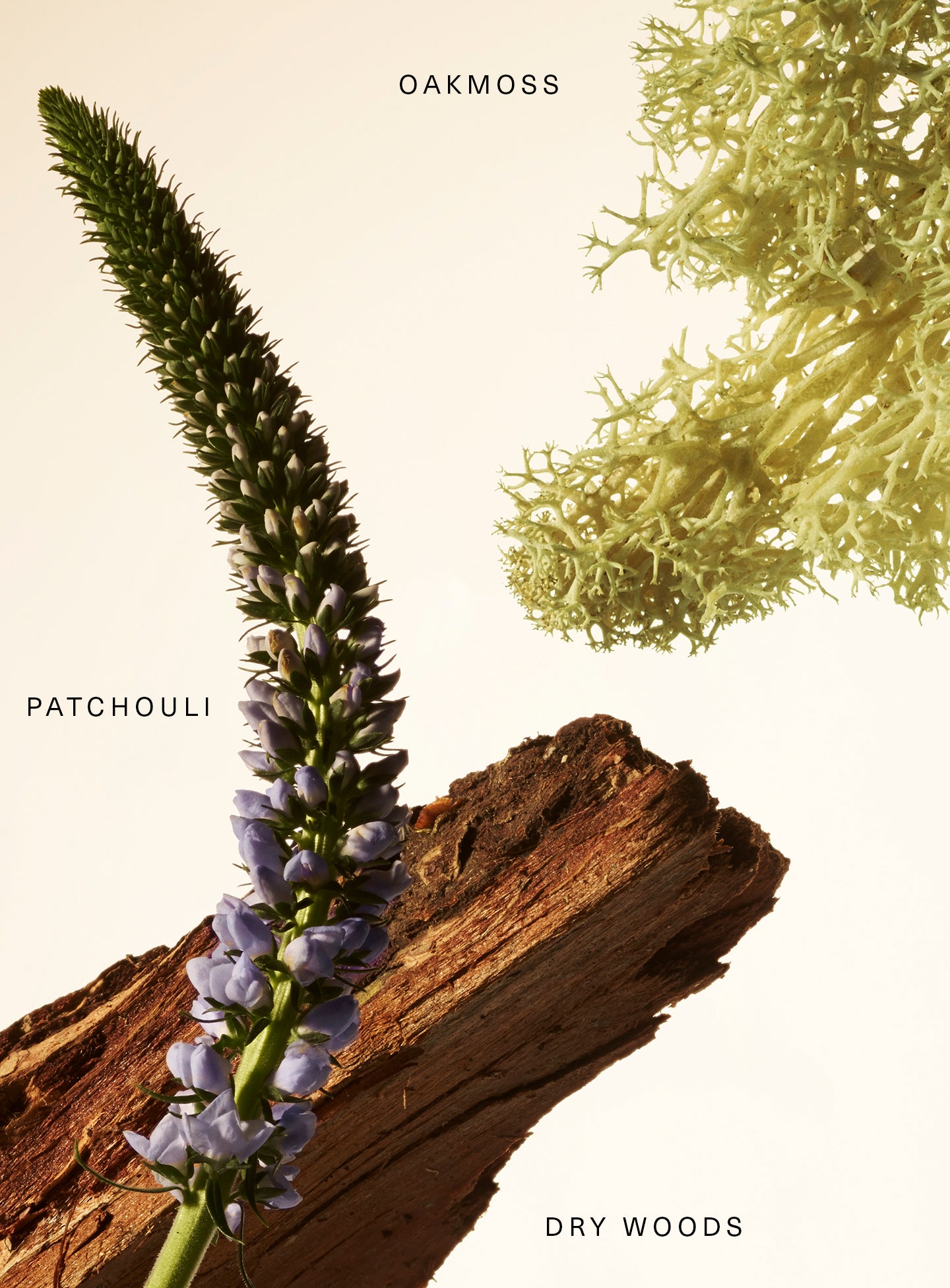 STYLIZED-FRAGRANCE-LAYERING-BALM-WOODY-KEY-NOTES